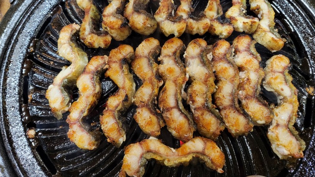 Saltwater vs Freshwater Eel