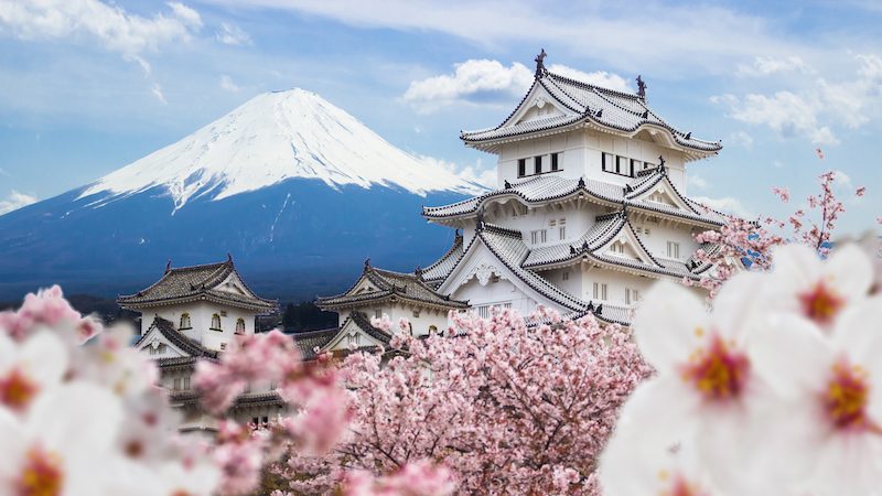 Favorite Japanese Tourist